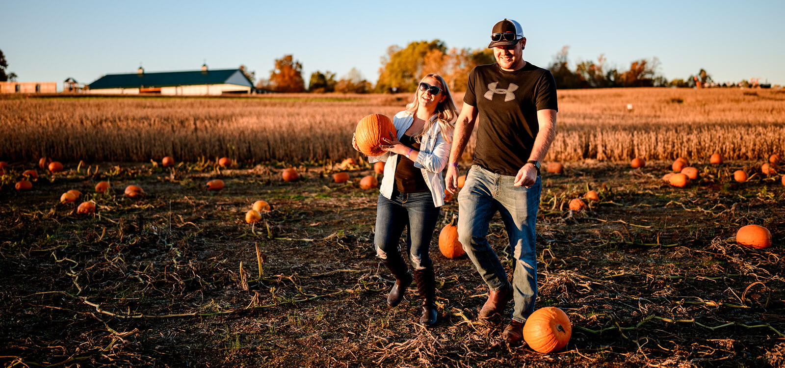 Pumpkin Patch