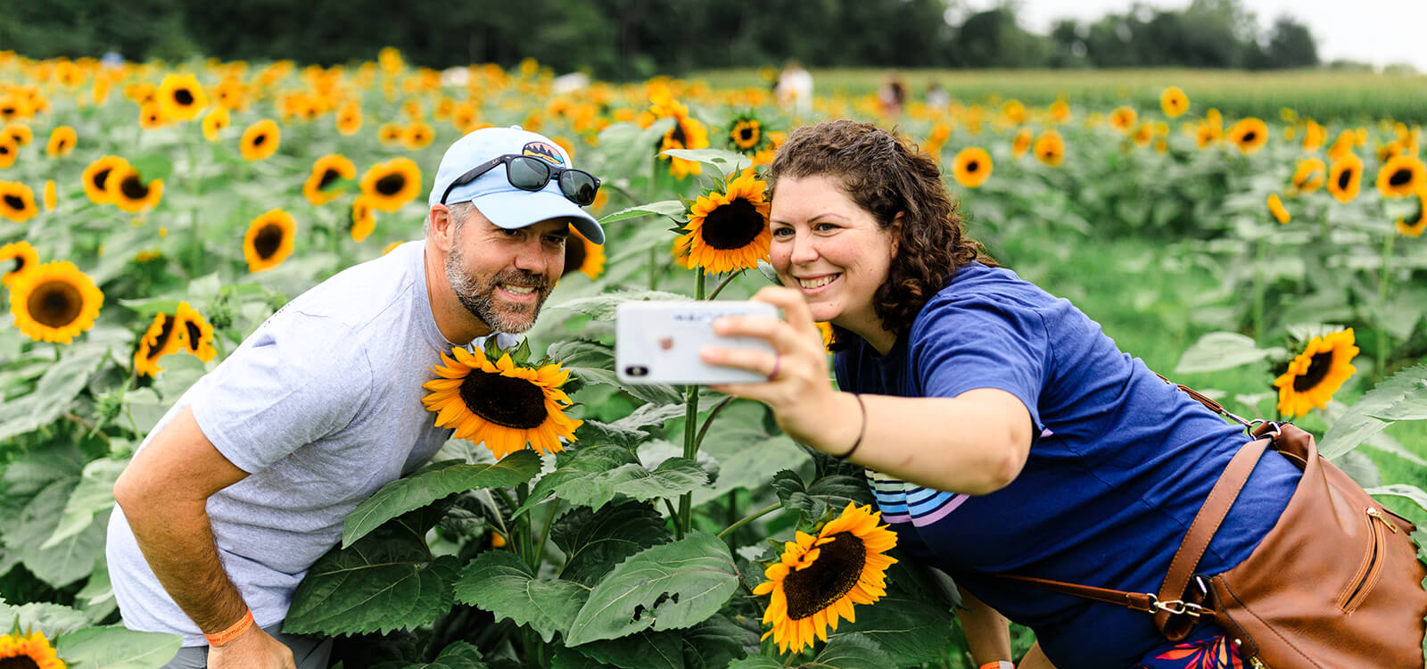 Sunflower Experience